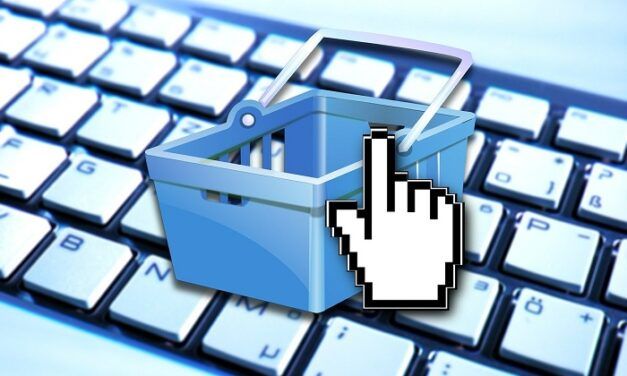 Ecommerce: Une situation plutôt favorable au premier semestre 2010