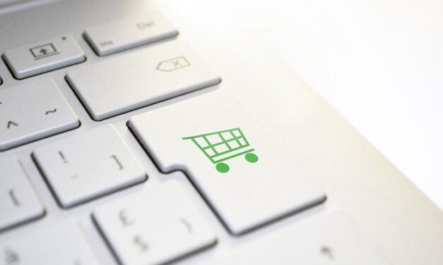 E-Commerce 2011: indicateurs et encadrement par un plan d’action