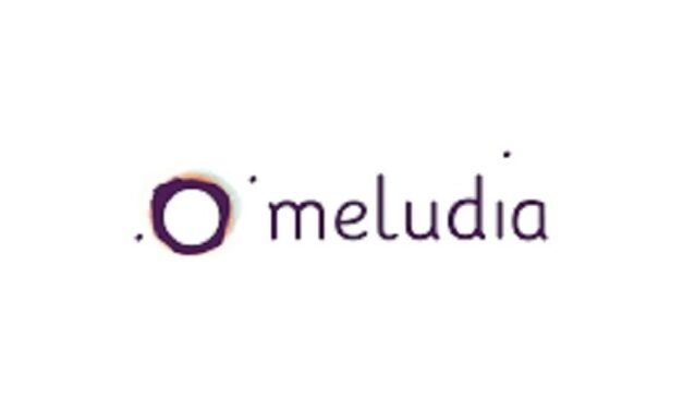 E-Business: Meludia lève 500 000 euros pour révolutionner l’apprentissage de la musique