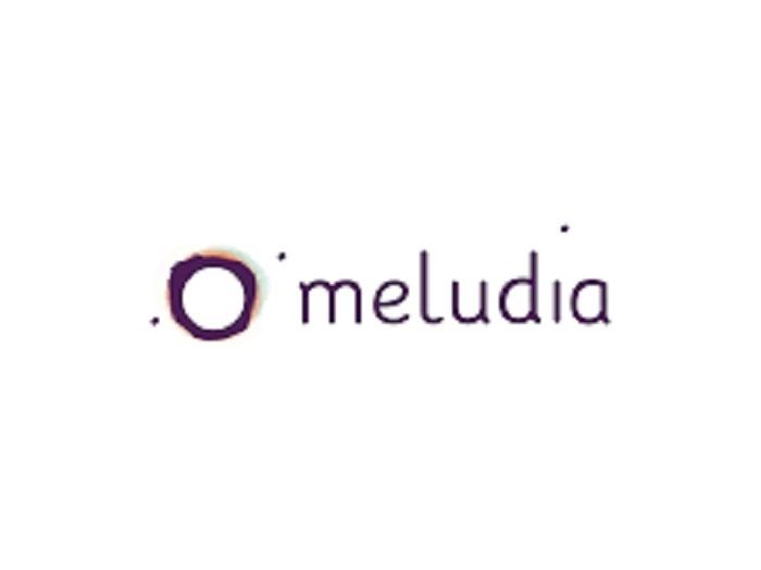 E-Business: Meludia lève 500 000 euros pour révolutionner l’apprentissage de la musique