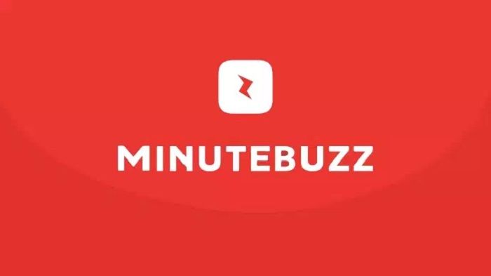 E-Business: Minutebuzz lève 1 million d’euros auprès de Seventure Partners