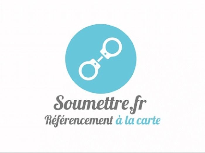 Lancement de Soumettre.fr, pour un netlinking en pilotage automatique