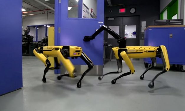 [Vidéo]: Quand les robots de Boston Dynamics cultivent l’amitié et l’entraide