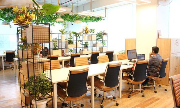 La start-up Ubigreen souhaite se positionner elle aussi dans la gestion des espaces partagés