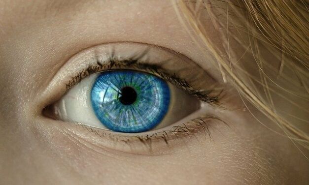 La start-up IDX lève 33 millions de dollars pour une IA capable de détecter les maladies des yeux