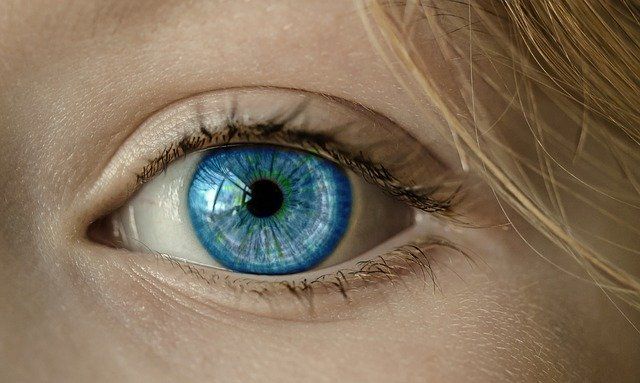 La start-up IDX lève 33 millions de dollars pour une IA capable de détecter les maladies des yeux