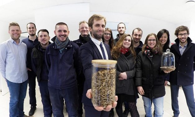 La start-up Innovafeed lève 40 millions d’euros pour ses farines d’insectes