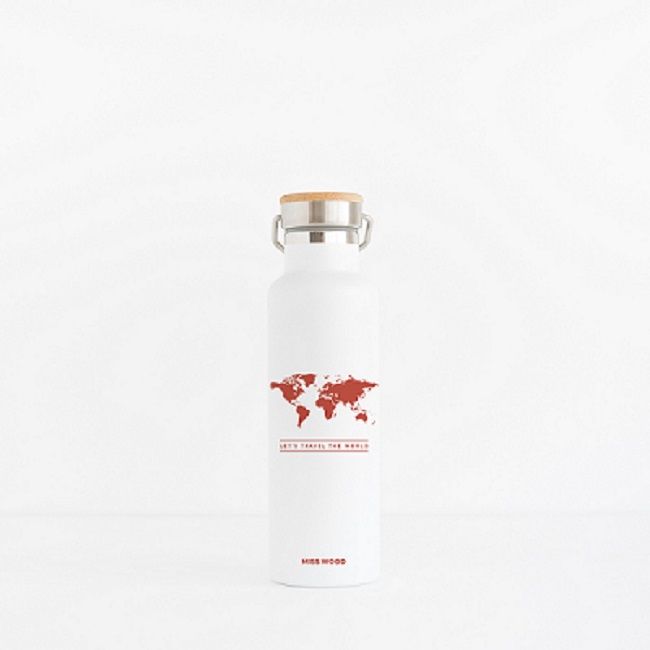 bouteille acier inoxydable