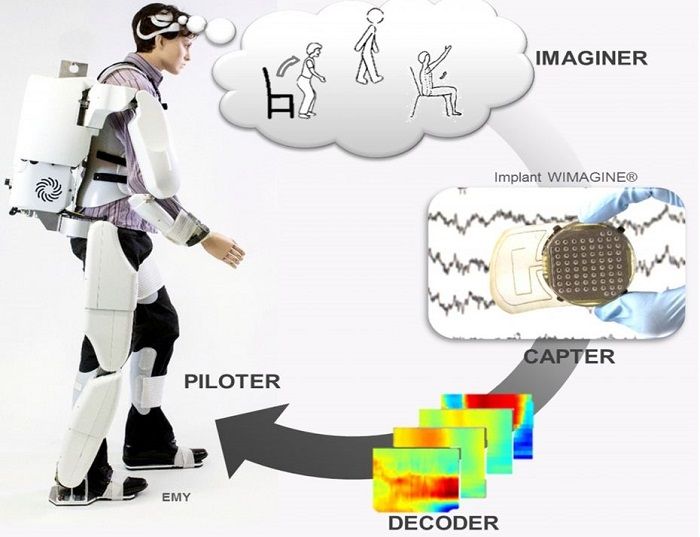 exosquelette bci