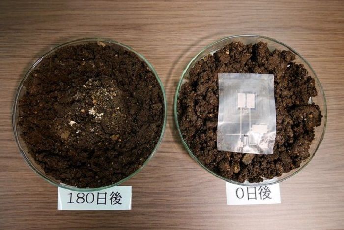 Des scientifiques japonais inventent un capteur électronique biodégradable