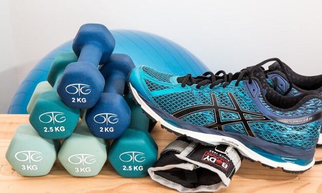La start-up indienne du fitness Cure.fit lève 100M$ sous la coupe de Temasek
