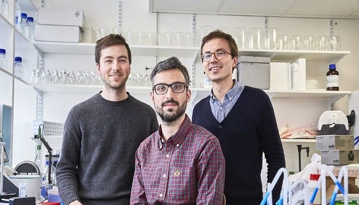 La start-up Dna Script annonce une nouvelle levée de fonds pour continuer sa lutte anti-cancer et maladies génétiques