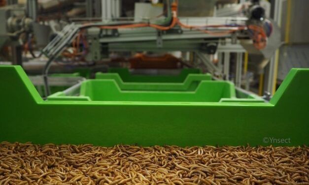 Ÿnsect, le fabricant de la ferme d’insectes la plus chère du monde, lève 224 millions de dollars supplémentaires