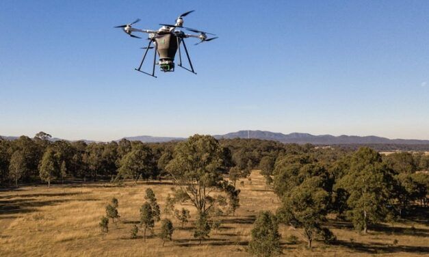 La start-up Dendra Systems lutte contre la déforestation en combinant intelligence artificielle et drones