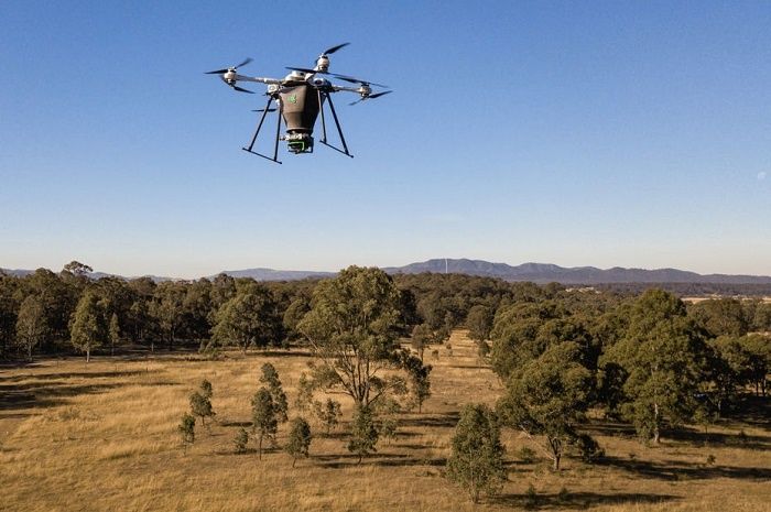 La start-up Dendra Systems lutte contre la déforestation en combinant intelligence artificielle et drones