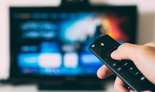 Infographie: Les plateformes VOD les plus populaires en France