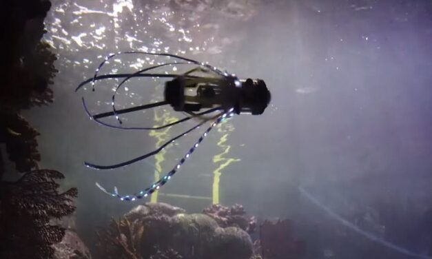 [Vidéo] :Regardez ce robot calmar se propulser dans l’eau à l’aide de jets pour explorer les fonds marins