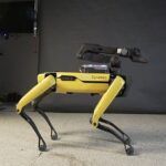 robot-spot-mini-avec-bras-robotise