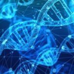 La start-up Suisse Sophia Genetics effectue une levé de fonds de 94M€ pour améliorer sa plateforme d'analyse génomique