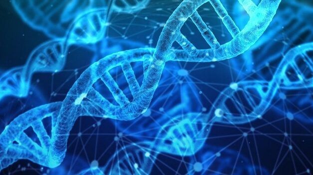 La start-up Suisse Sophia Genetics effectue une levé de fonds de 94M€ pour améliorer sa plateforme d’analyse génomique