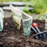 startups levée de fonds 2020