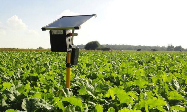 Agritech: Copeeks permet aux agriculteurs de monitorer leurs productions végétales et animales