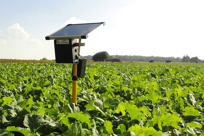 Agritech: Copeeks permet aux agriculteurs de monitorer leurs productions végétales et animales