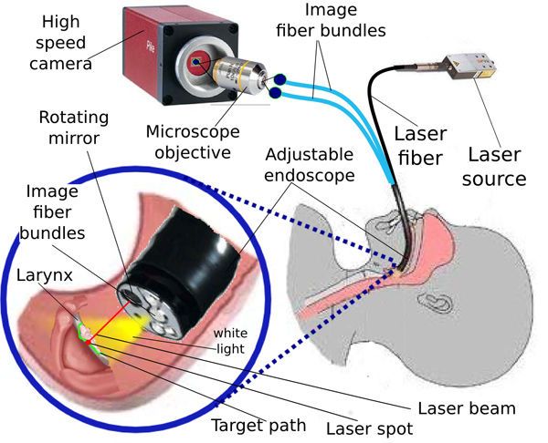 dispositif micro-endoscopique