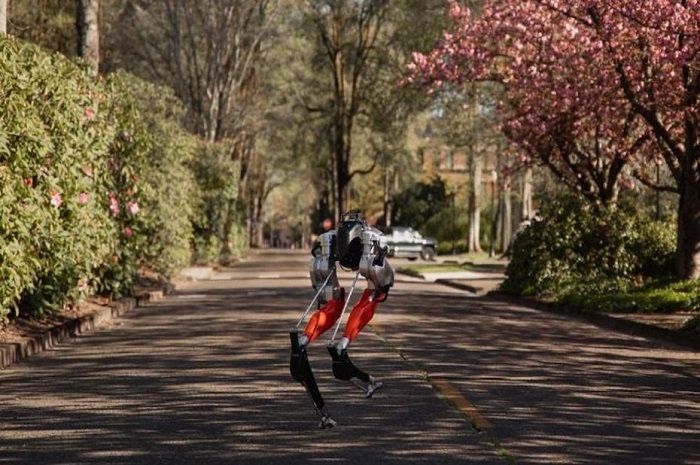 [Vidéo]: Le robot bipède Cassie, d’Agility Robotics réussit à courir 5km