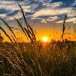 Ombrea et sa solution de prévention climatique pour les cultures lève 10M€