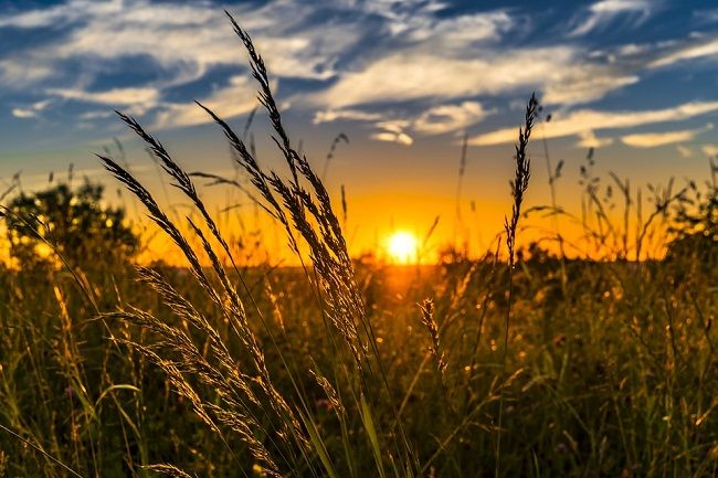 Ombrea et sa solution de prévention climatique pour les cultures lève 10M€