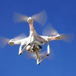 [Vidéo]: En Australie, des corbeaux attaquent des drones de livraison
