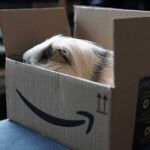 amazon-prime