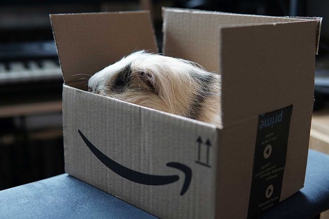 Les membres d’Amazon Prime peuvent désormais envoyer des cadeaux via téléphone ou email