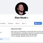 page-verifiee-elon-musk