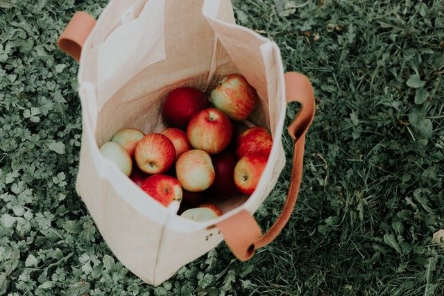 tot bag pommes