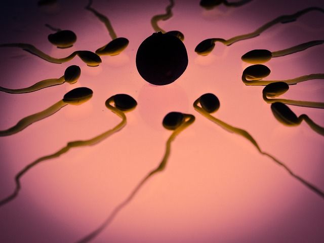 Messieurs, découvrez le nouveau concept de contraception masculine thermique de Jemaya Innovation