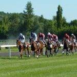 plateforme de pari hippisme